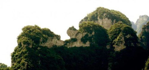 王莽岭景区十大网红景点之一龟鸵峰