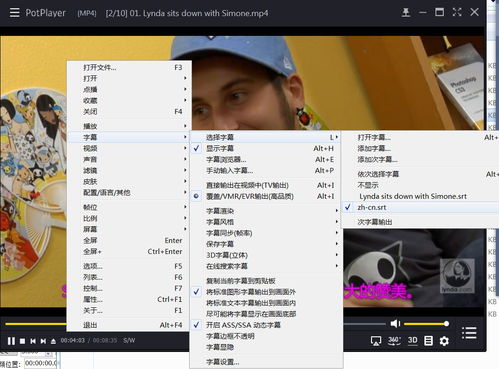 给视频翻译字幕可以用哪些软件 