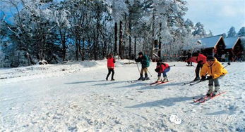冬天成都周边十大滑雪场推荐 