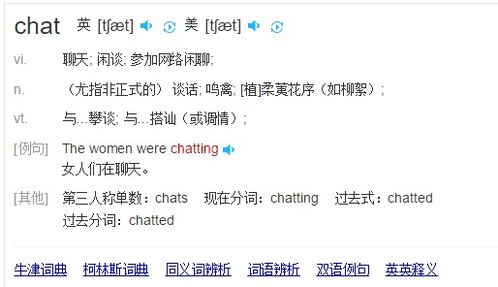 chat是什么意思中文翻译 