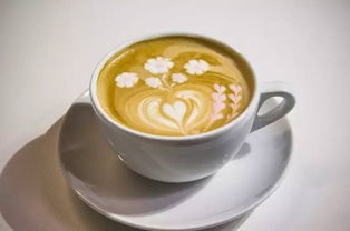 冻干咖啡与现磨咖啡的区别(咖啡冻干粉和现磨咖啡的区别)