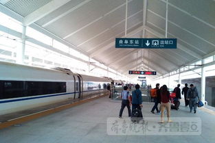 济宁人最热坐高铁去北京 青岛,海边城市也都热去