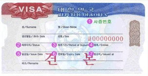 韩国旅游签证 办理韩国旅游签证加急 韩国一年多次加