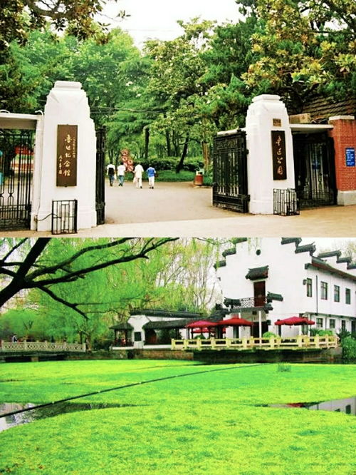 上海公园大集合,周末好去处,秋天旅游攻略