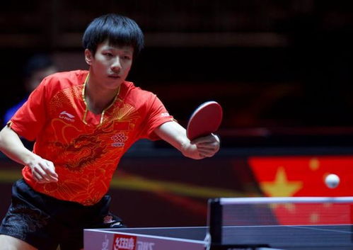 巴黎奥运周期,中国男乒的樊振东和谁挑大梁