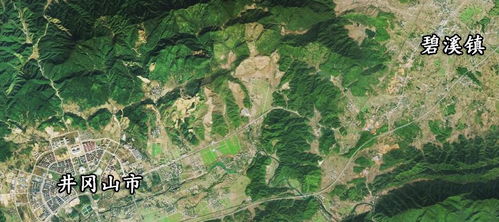江西泰和县曾经一个镇,因毗邻井冈山市,而划给了井冈山