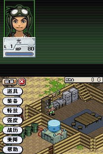NDS中文游戏集 Nintendo DS Roms Collection 简中汉化版 电脑可玩 更新 FF时之回声 口袋白金 等 