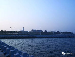 出行 海洋体验新去处 天津又一亲海公园开放