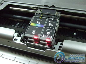 高品质高速度 佳能iP100便携式打印机