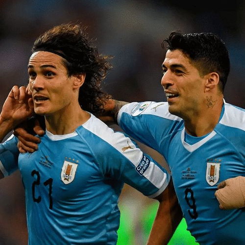美洲杯直播 阿根廷VS乌拉圭