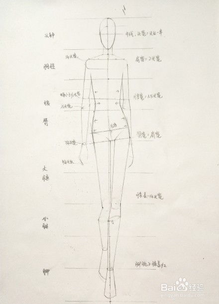 服装设计如何手绘人体画 人体手绘步骤,详细