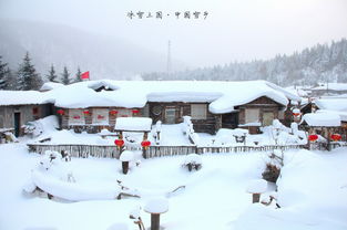 哈尔滨雪乡旅游攻略黑龙江中国雪乡在哪(哈尔滨中国雪乡的介绍)