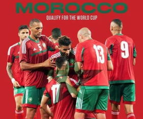 2018俄罗斯世界杯32强巡礼之B1摩洛哥 
