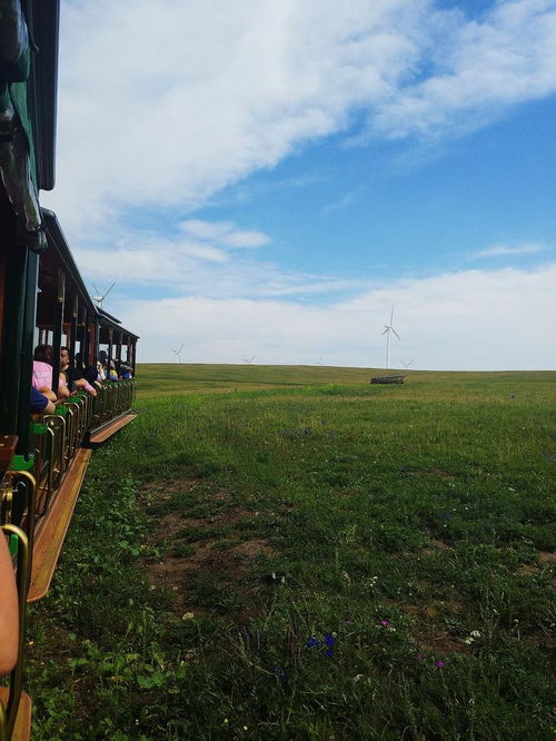内蒙古旅游几月份去合适,去内蒙古应该注意什么 