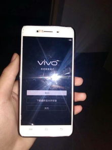 vivo手机v55版本总是出现系统修复模式,刷机还需要密码,求密码 