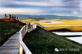 中国最美花湖,若尔盖大草原3日游玩攻略 