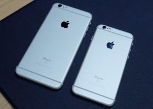 苹果5和5s的区别(苹果手机plus和pro的区别)