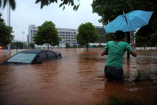 今天重庆遭特大暴雨是真的吗(重庆最近10天天气)
