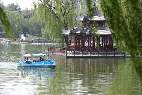 文旅中国 刚刚恢复开放的北京公园景区什么样