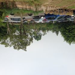 海珠湿地公园停车方便吗海珠湿地公园哪个是正门(海珠湿地公园哪里停车)