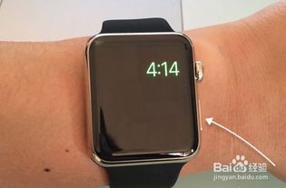 苹果手表Apple Watch怎么打开或退出省电模式 