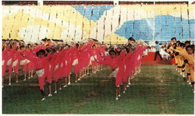1990年北京第11届亚运会上的武术表演 