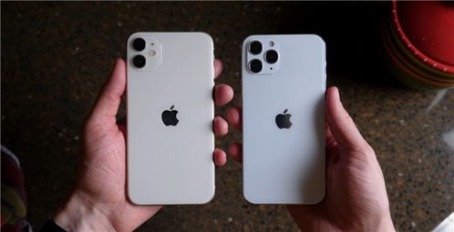 iphone12上市时间已定 苹果12预售价格多少 苹果12手机真实图片