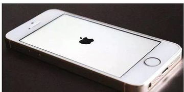 苹果手机不断显示白苹果(iphone一直显示白苹果怎么办)