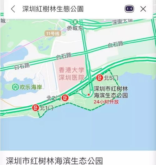 深圳湾红树林海滨生态公园地址及怎么去 