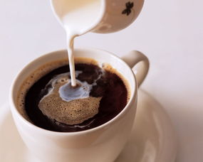 焙炒咖啡和速溶咖啡(焙炒咖啡怎么食用)