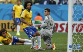 2014世界杯巴西最佳进球(2014年巴西世界杯最佳阵容)
