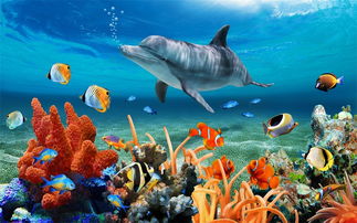 海底世界摄影素材 15598689 海报背景图 