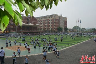 衡阳教育的旖旎之地 优质与特色并重的衡南县北斗星小学