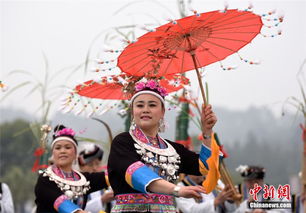 广西侗乡首届芦笙节 数百人比拼芦笙技艺 