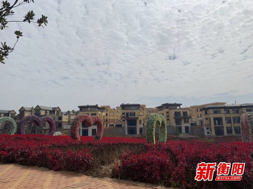 衡南县开展2020年度网络新媒体采风活动 发现衡南之美