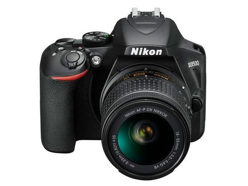 尼康推出了入门单反D3500,这种相机配什么镜头才能拍好
