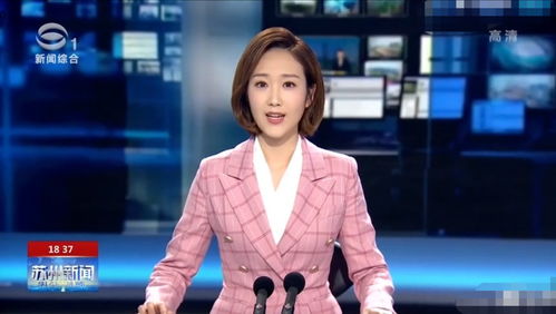 主持人大赛选手王嘉宁成苏州新闻主播,还没进央视粉丝比她本人还着急