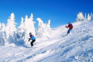 国内必去十大滑雪场滑雪(国内滑雪场推荐)