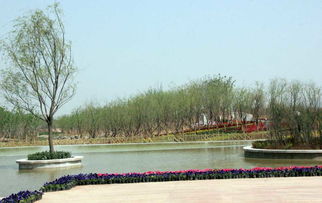 西安浐灞国家湿地公园将开园迎客 五一去浐灞感受美景 