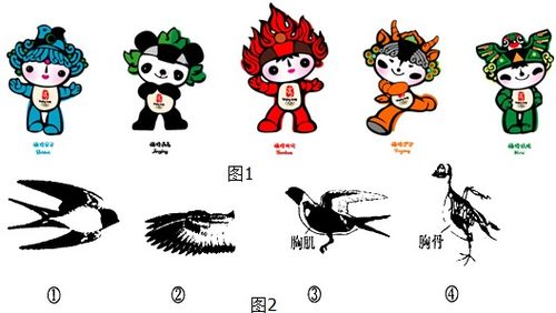 福娃是北京2008年第29届奥运会吉祥物.每个福娃都有一个琅琅上口的名字 贝贝 . 晶晶 . 欢欢 . 迎迎 和 妮妮 .当五个娃娃的名字连在一起.你会读出北京对世界的盛情邀请 