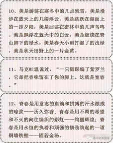 万能作文开头,让阅卷老师眼前一亮 初中语文作文素材精选48条