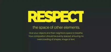 网上的respect是什么意思的简单介绍