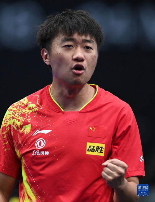 乒乓球 卡塔尔挑战赛 赵子豪晋级八强 新华网体育 