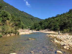 你们上班,我来游山玩水和钓鱼,风景很好地点 惠州惠东