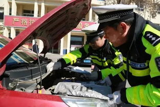 沧州交警一个月查处涉牌涉证1218起