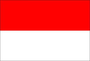 这个是印尼国旗还是阿根廷国旗 