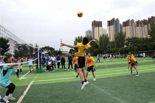 爱成都 迎大运 2021年龙泉驿区中小学排球运动会顺利结束
