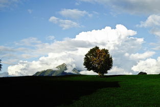 瑞士尼翁漫步,站在高处望风景 