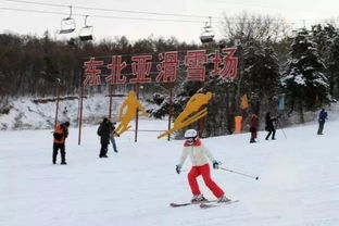 雪之乐 又是一年滑雪季,沈阳的这几家滑雪场开业时间及最新消息都在这里 