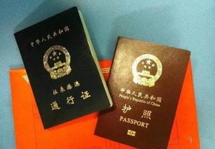 台湾通行证一个月可以去几次澳门 